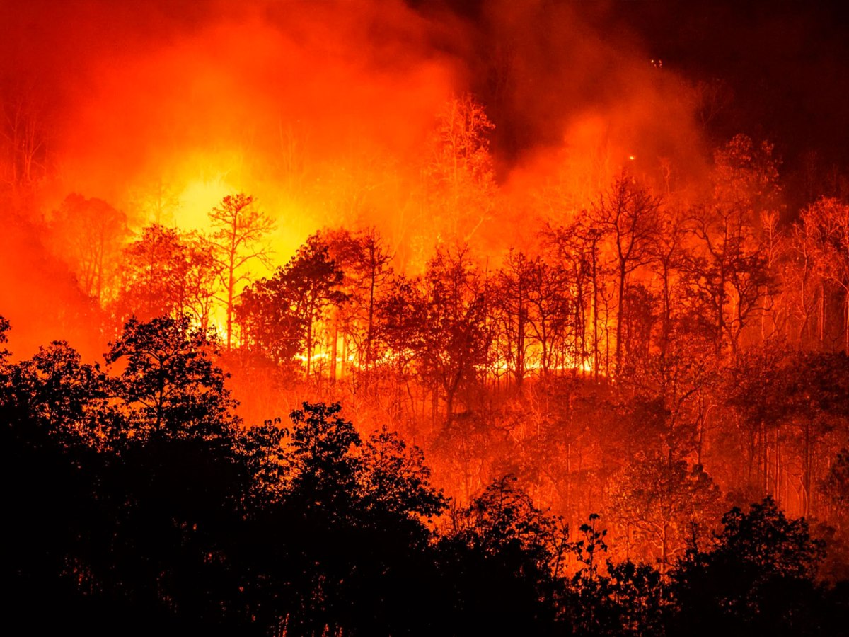 Se registran 129 incendios forestales activos en México